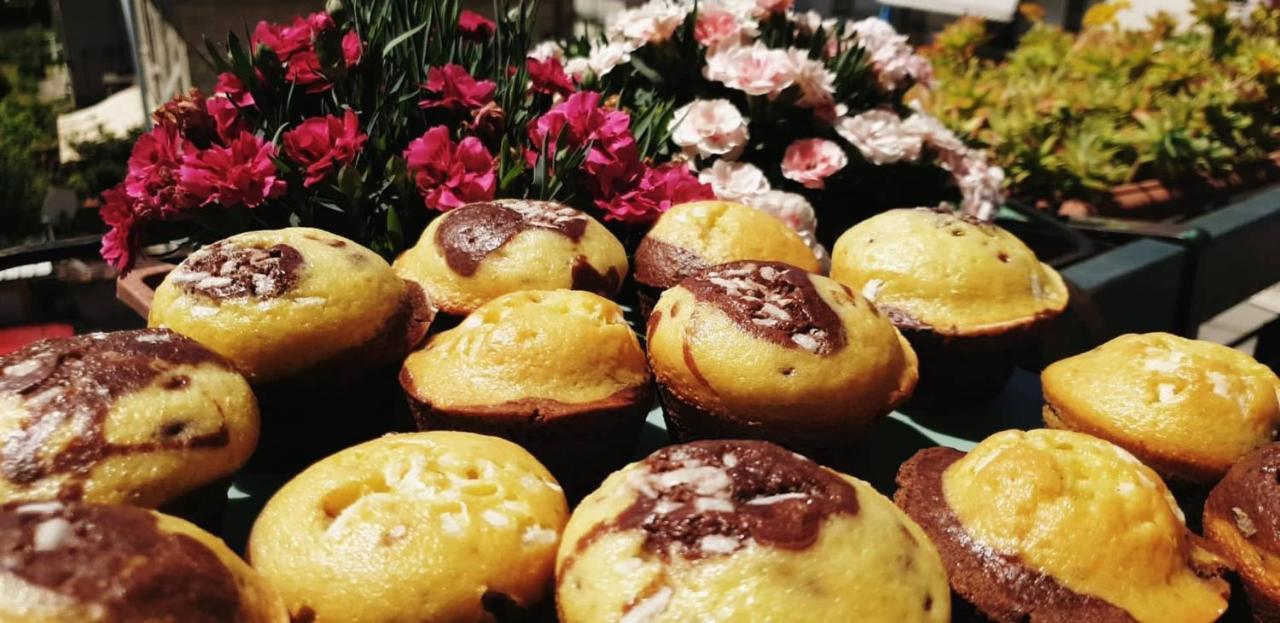Casa Patrizia Bed & Breakfast Ascoli Piceno Dış mekan fotoğraf